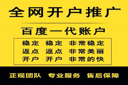 解析SEM推广代运营公司的成功案例及效果